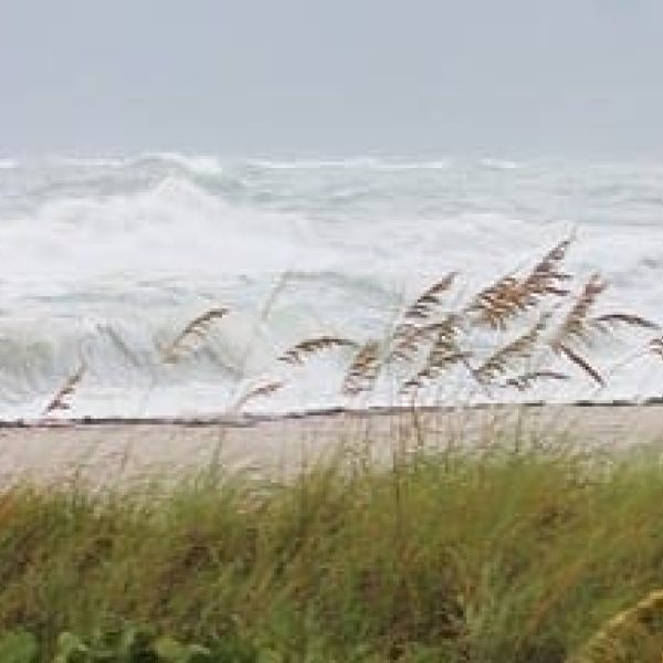 Tropical Storm Emily