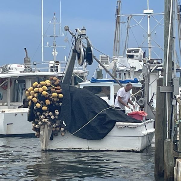 Cortez cleans up minor damage after Hurricane Idalia