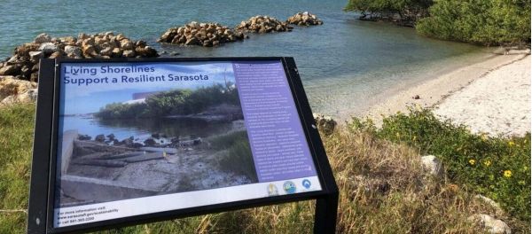 Reel Time: A catalyst for change