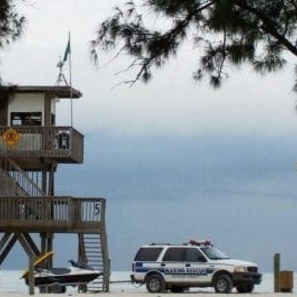 LifeLines: Swim zone