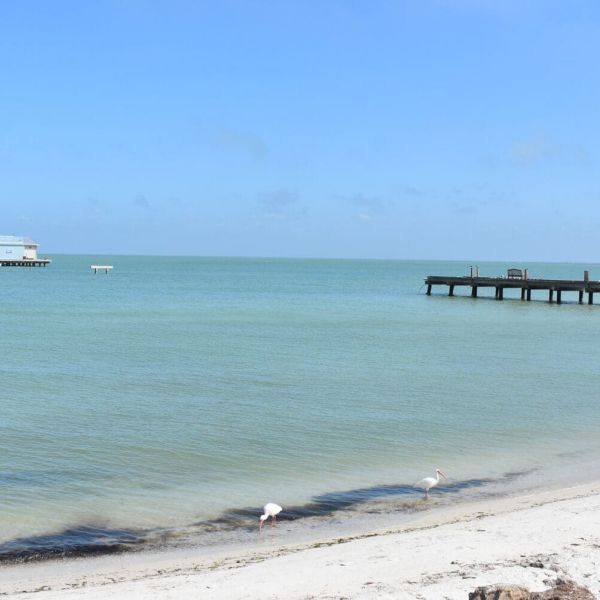 City officials seek funding for pier repairs