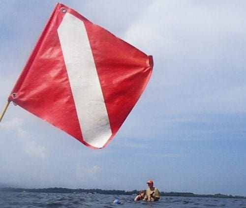 LifeLines: Diving and snorkeling