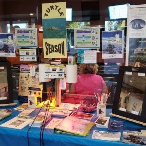 Turtle Watch, resort working to improve lighting