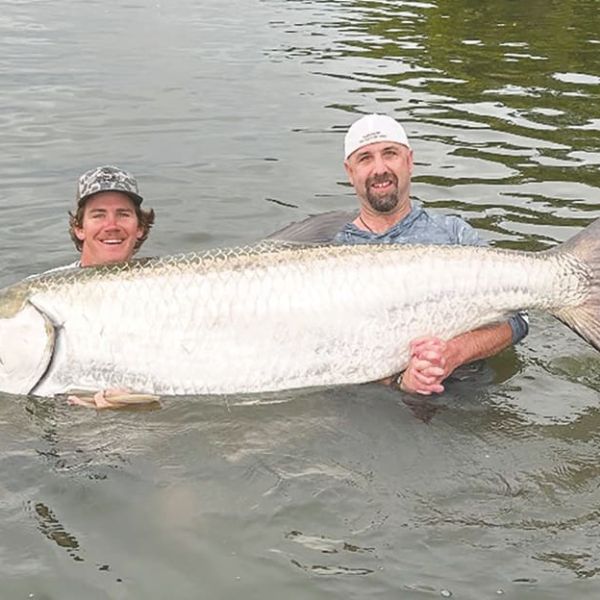 It&rsquo;s tarpon time off Anna Maria Island