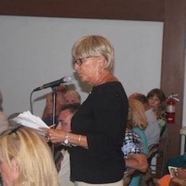 Cortez bridge public input