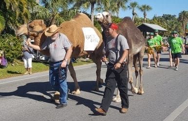 St. Patrick's Day parade Sunday