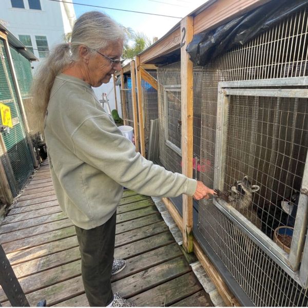 Wildlife Inc. co-founders hope to re-open soon