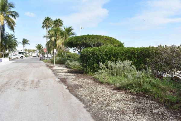 Engineering underway for potential shoreline resiliency project