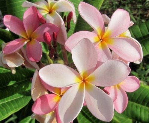 Rise and shine on Easter