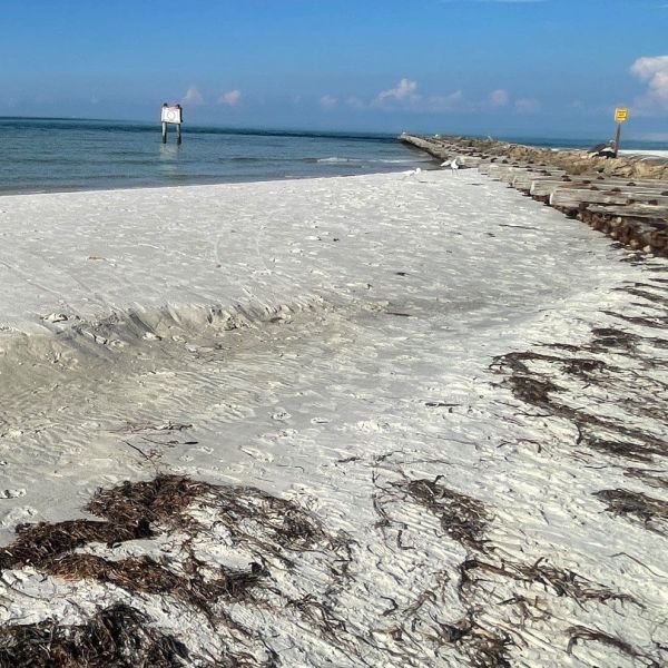Idalia erodes Island beaches