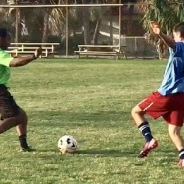 Center adult soccer gardner