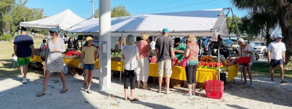 Anna Maria farmers market returns