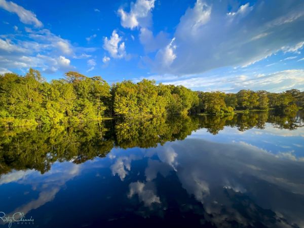 Reel Time on the Road: Wakulla Springs and Florida&rsquo;s Big Bend