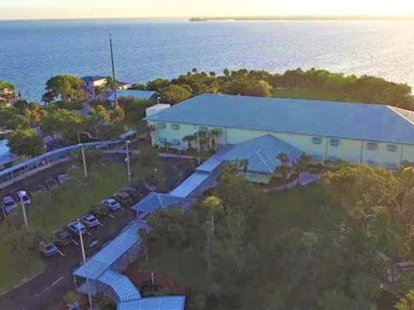 Guy Harvey Ocean Foundation partners with AME