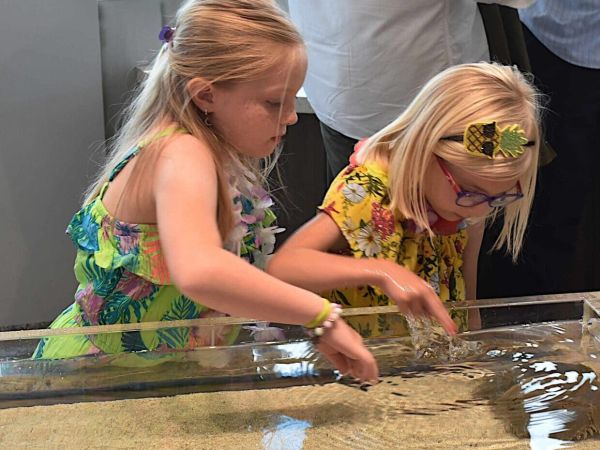Mote Marine Science, Education and Outreach Center opens