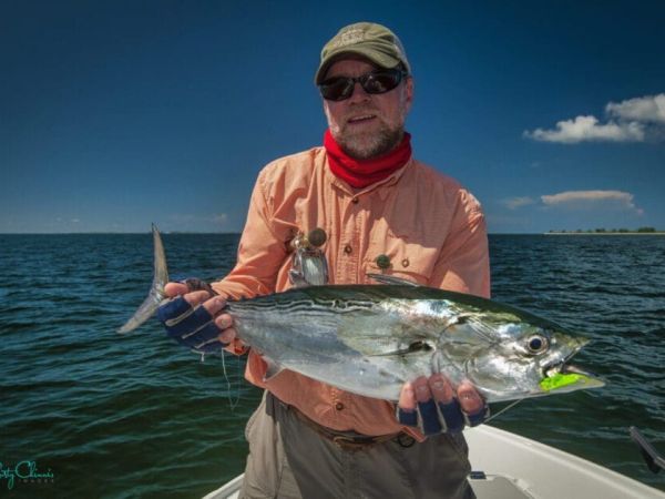 A little tunny caught on fly tackle