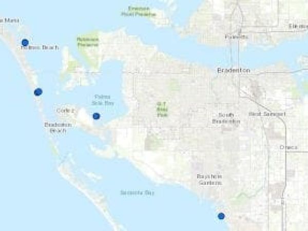 Non-toxic blue-green algae lingers