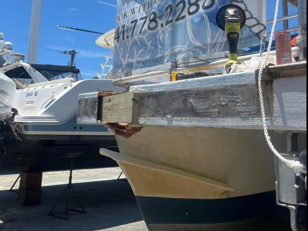Coast Guard investigates tour boat striking bridge