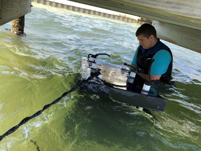 Reel Time: The Center, clean and green