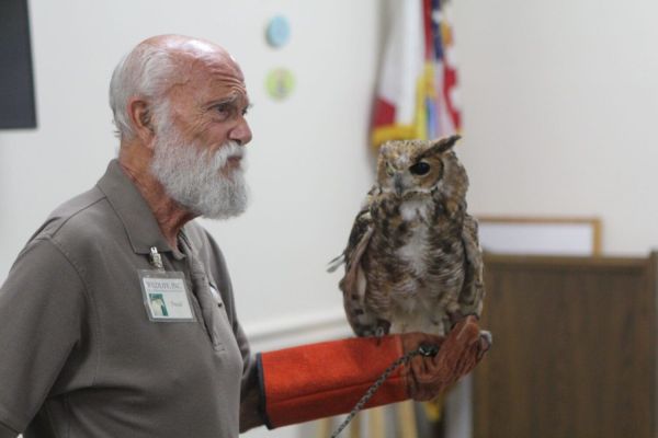 Owl presentation a &lsquo;hoot&rsquo; at Island Branch Library