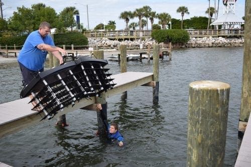 Reef project helps filter local waters