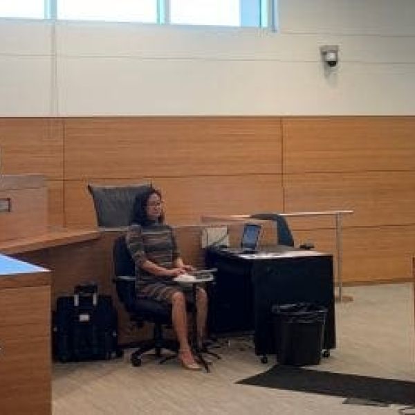 Treehouse owners start new year in court