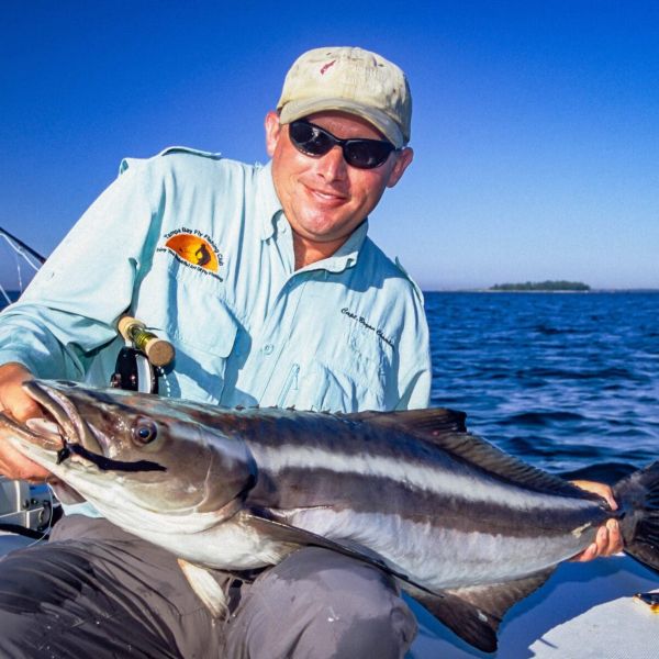 Keep an eye out for cobia