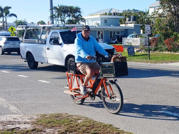 E-bikes regulated like bicycles