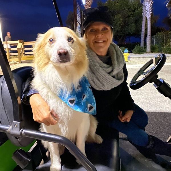 Is COVID a concern for our furry friends?