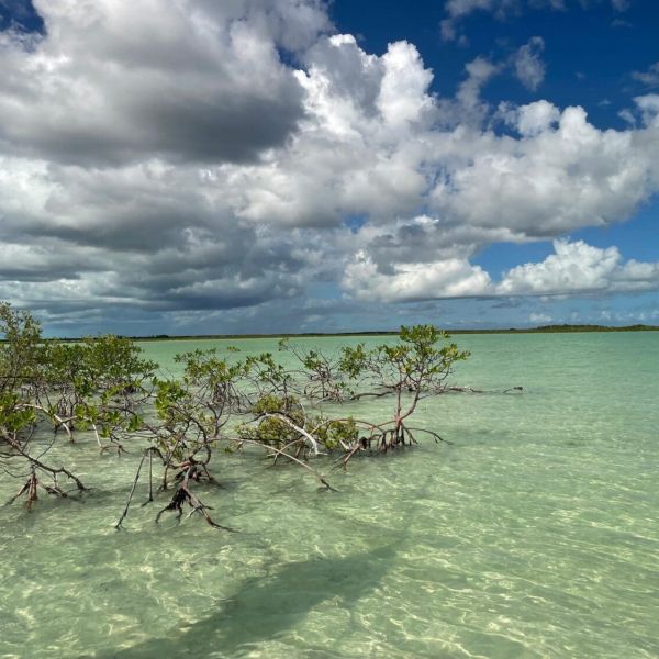 Reel Time: Bahamas fishing