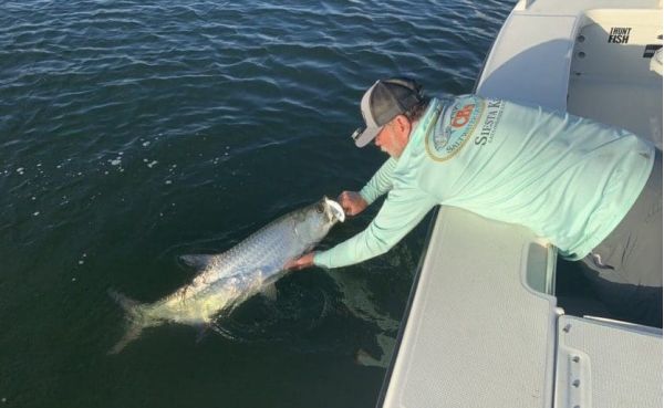 Hone your hot weather strategy&nbsp;