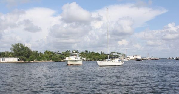 Chiles continues to push for water taxis