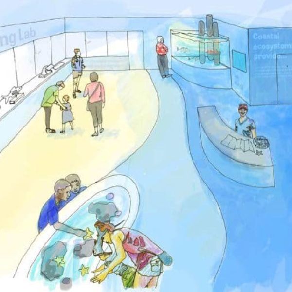 Mote Marine proposes City Pier education and outreach center