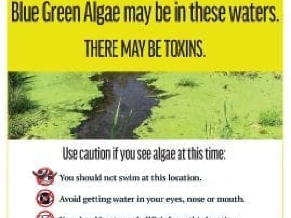 Blue-green algae warning signs coming