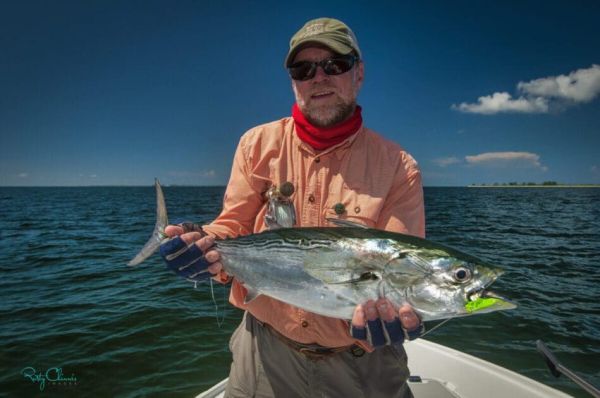 A little tunny caught on fly tackle