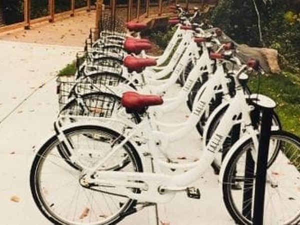 Mobility program dropped in favor of ban