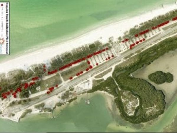 County submits Coquina Beach tree replacement plan