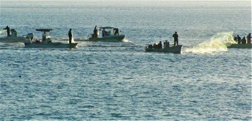 Net ban at 25: Still stings, still opposed