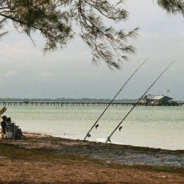 LifeLines: Fishing facts