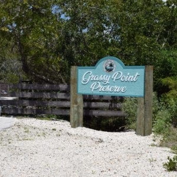 No plans made for future Grassy Point development