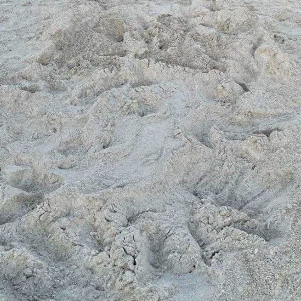 First turtle nest of season found early on AMI