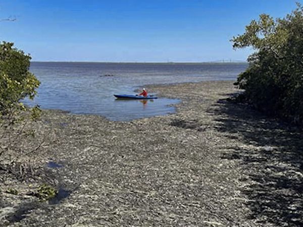 2024-25 budget passes first hearing