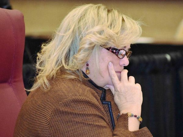 Van Ostenbridge proposes terminating county administrator
