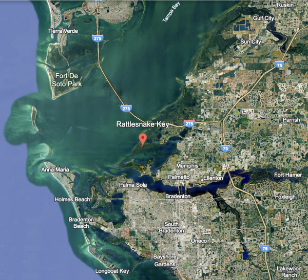 Cruise ship port proposed and opposed near Rattlesnake Key