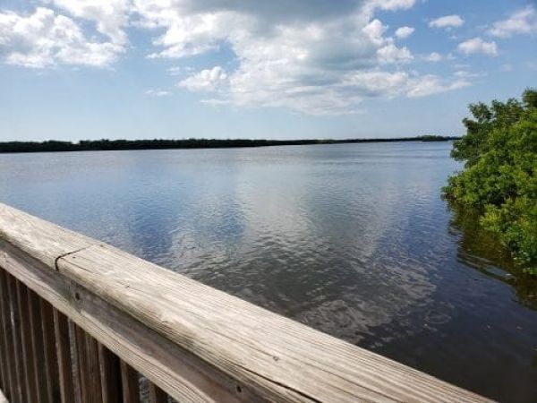 Early duck hunting season revives concerns