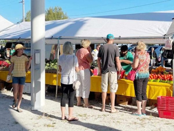 Anna Maria farmers market returns
