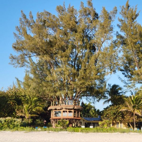 Year in Review: Holmes Beach