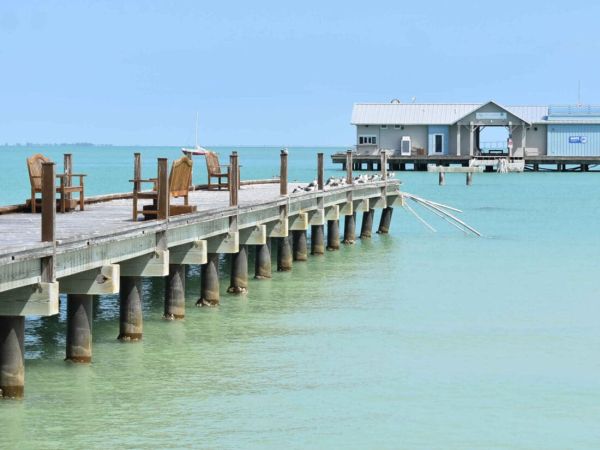 Report identifies cause of pier walkway failure