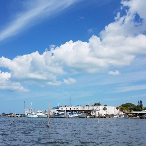 Cortez Commercial Fishing Festival to celebrate 42 years