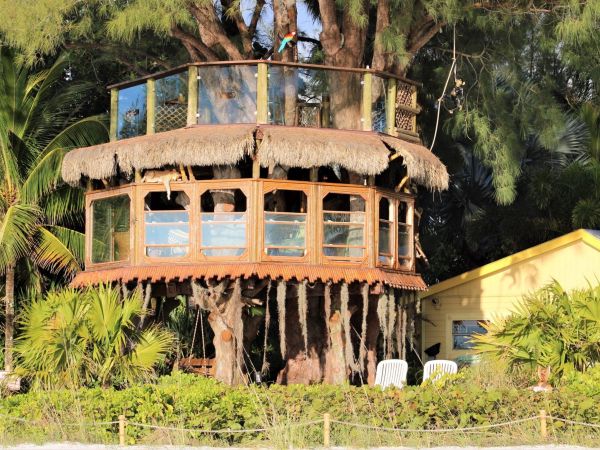 Treehouse owners get no relief from special magistrate
